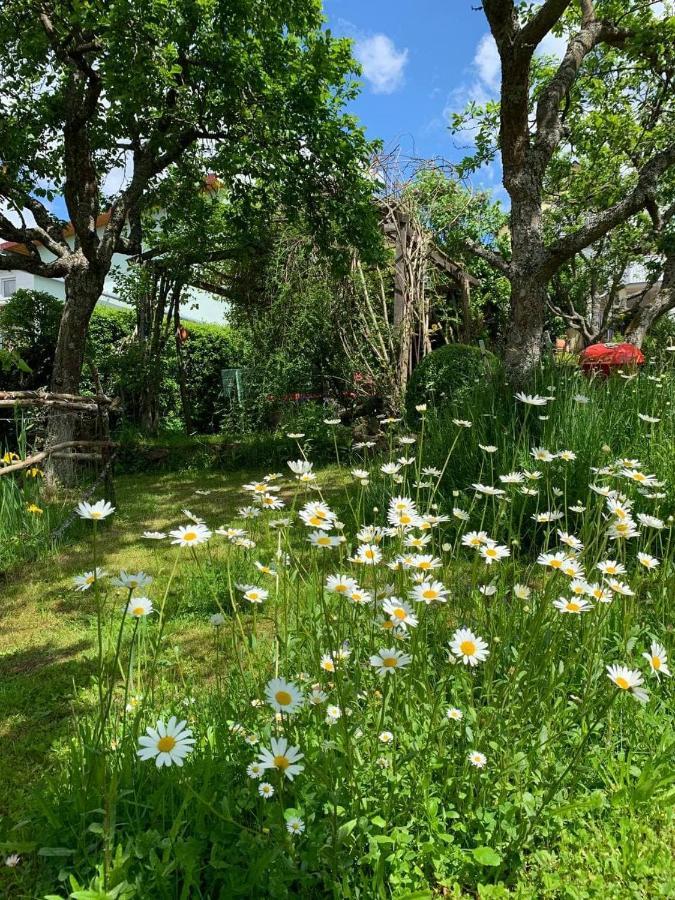 Apartment Am Obstgarten Bad Bocklet