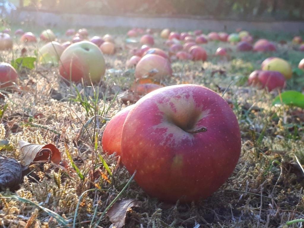 Am Obstgarten Bad Bocklet